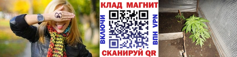 Наркошоп Курильск А ПВП  COCAIN  Меф  Гашиш 