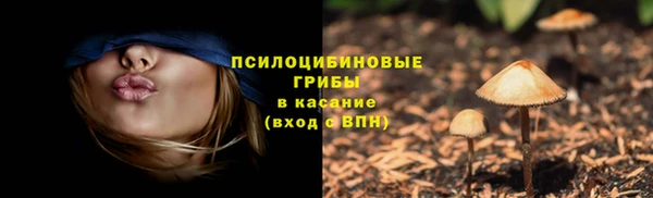 трава Инсар