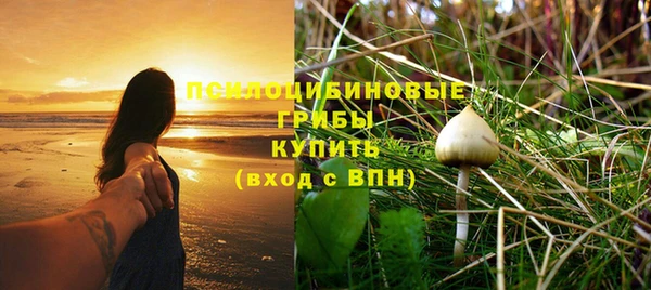2c-b Инта