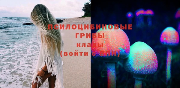 трава Инсар