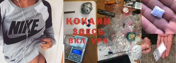 2c-b Инта