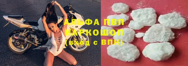 2c-b Инта