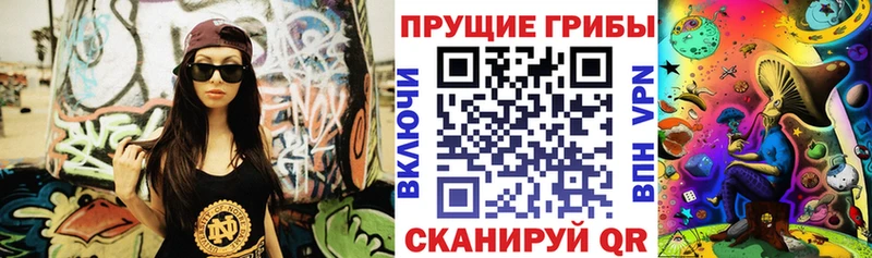 Псилоцибиновые грибы GOLDEN TEACHER  как найти закладки  Курильск 